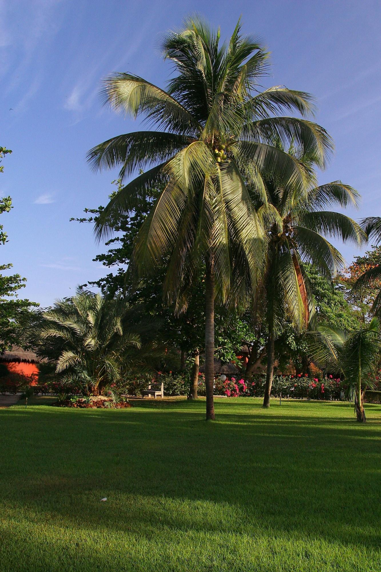 Hotel Royam Saly Portudal Buitenkant foto